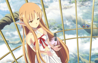 Girl long hair cage bird - a cage free wallpaper