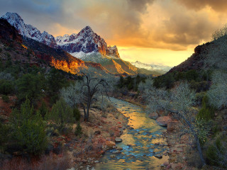River forest cloudy mountains sunset - a lush green forest under a cloudy sky free wallpaper