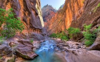 River canyon mountains trees background - a canyon free wallpaper