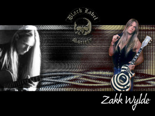 Woman holding guitar case image - eric taylor free wallpaper
