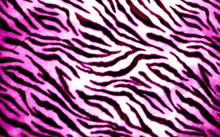 Zebra print pink background black - op art free wallpaper