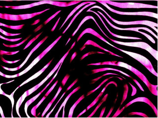 Zebra print pink background black 3 - bridget riley free wallpaper