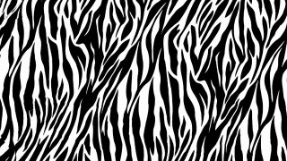 Zebra print black white stripes - bridget riley free wallpaper