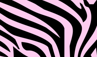 Pink black zebra print pattern - bridget riley free wallpaper