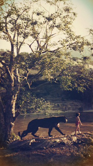 Woman horse field tree river - arnold mesches free wallpaper