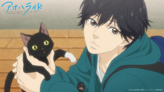 Man holding black cat green - a green eye free wallpaper