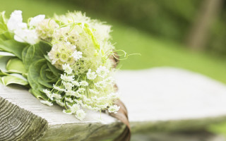 Bouquet flowers wooden bench sun - grass free wallpaper