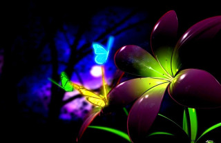 Flower butterfly night tree flying - rich free wallpaper