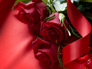 Red roses bouquet blurry romantic - red rose free wallpaper