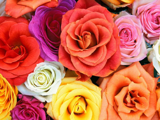 Colorful flowers for sale in - display free wallpaper