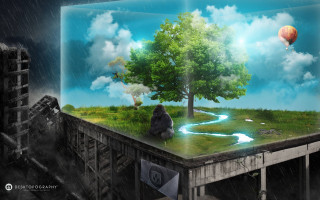 Tree gorilla bridge rain hotairballoon - a hot air balloon free wallpaper