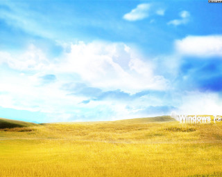 Field blue sky clouds yellow - bascove free wallpaper