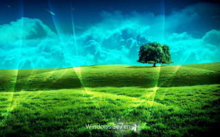 Green field tree sky clouds 5 - a sunbeam free wallpaper