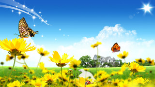 Yellow flowers butterfly house blue - a house in the background free wallpaper