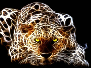 Leopard yellow eyes psychedelic magic - alison kinnaird free wallpaper