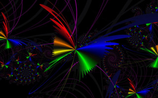 Colorful bird of paradise pattern - mandelbrot fractal free wallpaper