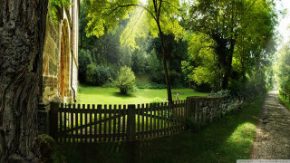 Fence tree stonewall grassyfield architecture - a wooden fence free wallpaper
