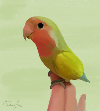 Bird perched hand green pink - digital painting free wallpaper