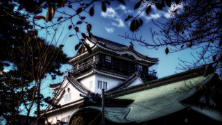 Tall building tower roof trees 2 - a tower free wallpaper