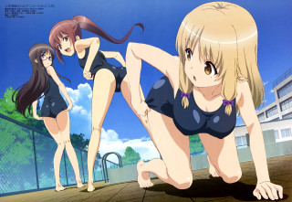 Women bathing suits swimming pool - suit free wallpaper