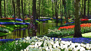 Garden flowers trees pond water - impressionist painting free wallpaper