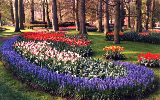 Garden circular flower bed trees - a bench in the middle free wallpaper