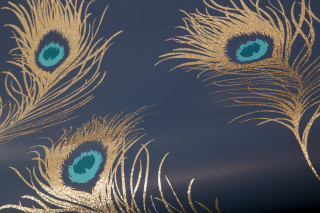 Peacock pattern closeup blue eye - a silk screen free wallpaper
