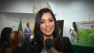 Woman crown microphone man suit - a crown free wallpaper