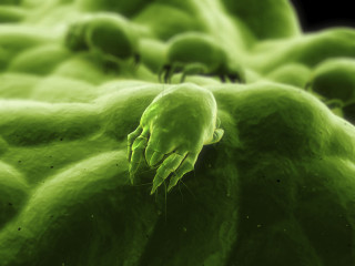 Green substance black background center - aquirax uno free wallpaper for desktop