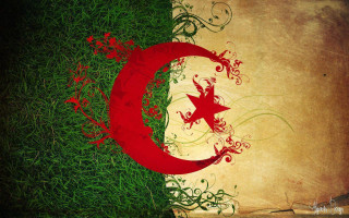 Grungy flag star crescent grass - a grungy flag free wallpaper
