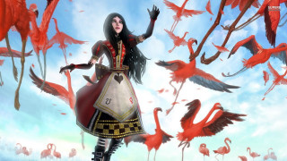 Woman dress flamingos flying sky - a woman in a dress free wallpaper