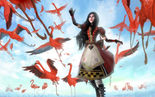 Woman dress birds flying sky - cloud and birds free wallpaper