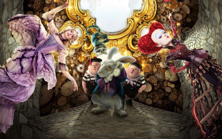 Group people mirror rabbit middle - a rabbit free wallpaper