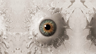Blue eye black brown closeup - a black center free wallpaper