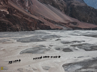 Horses walking frozen river mountains - river free wallpaper