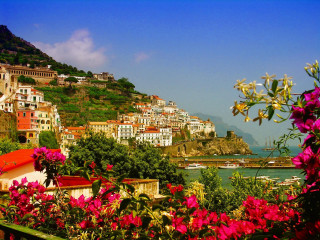 Town hill flowers waterbody magicrealism - a view of a town free wallpaper