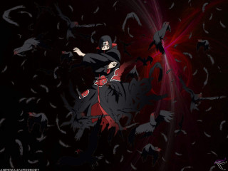 Man black red outfit birds - outfit free wallpaper