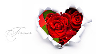 Heart rose forever bouquet romanticism - hole free wallpaper