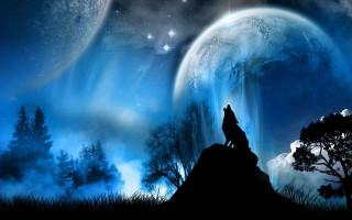 Wolf hill moon stars sky 4 - full moon free wallpaper