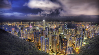 City night lights trees foreground - cui bai free wallpaper