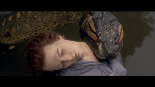 Woman snake head shoulder laying - bedwyr williams free wallpaper