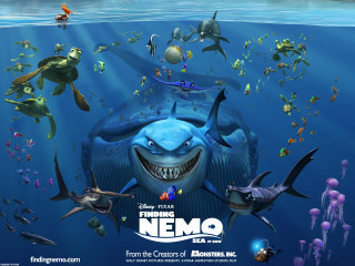 Shark fish sea creatures ocean - a caption free wallpaper