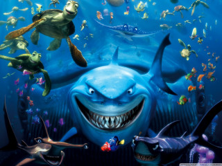 Smiling shark ocean turtle fish - drew struzan free wallpaper