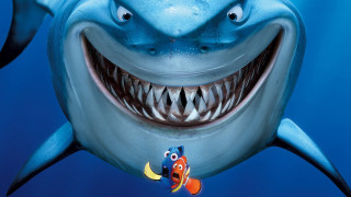 Shark closeup fish mouth fish - bernard meninsky free wallpaper