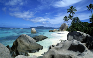 Beach rocks palm trees water 2 - beautiful scenery free wallpaper for desktop