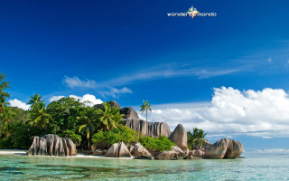 Tropical island palm trees rocks - a tropical island free wallpaper