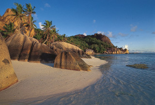Beach rock formation palm trees - the shore of the ocean free wallpaper