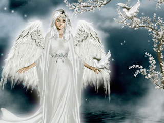 Woman white wings dress veil - white wing free wallpaper
