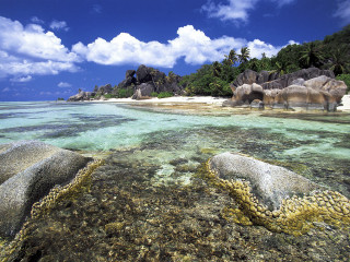 Beach rocks corals blue sky - a beach free wallpaper for desktop