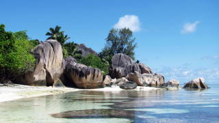 Beach rocks trees water blue 2 - free ship wallpaper for desktop